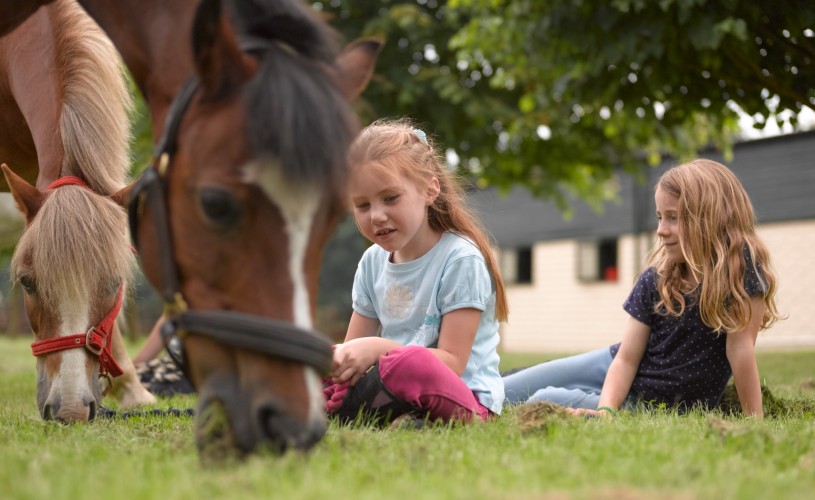 Children and ponies at Lucknam Park